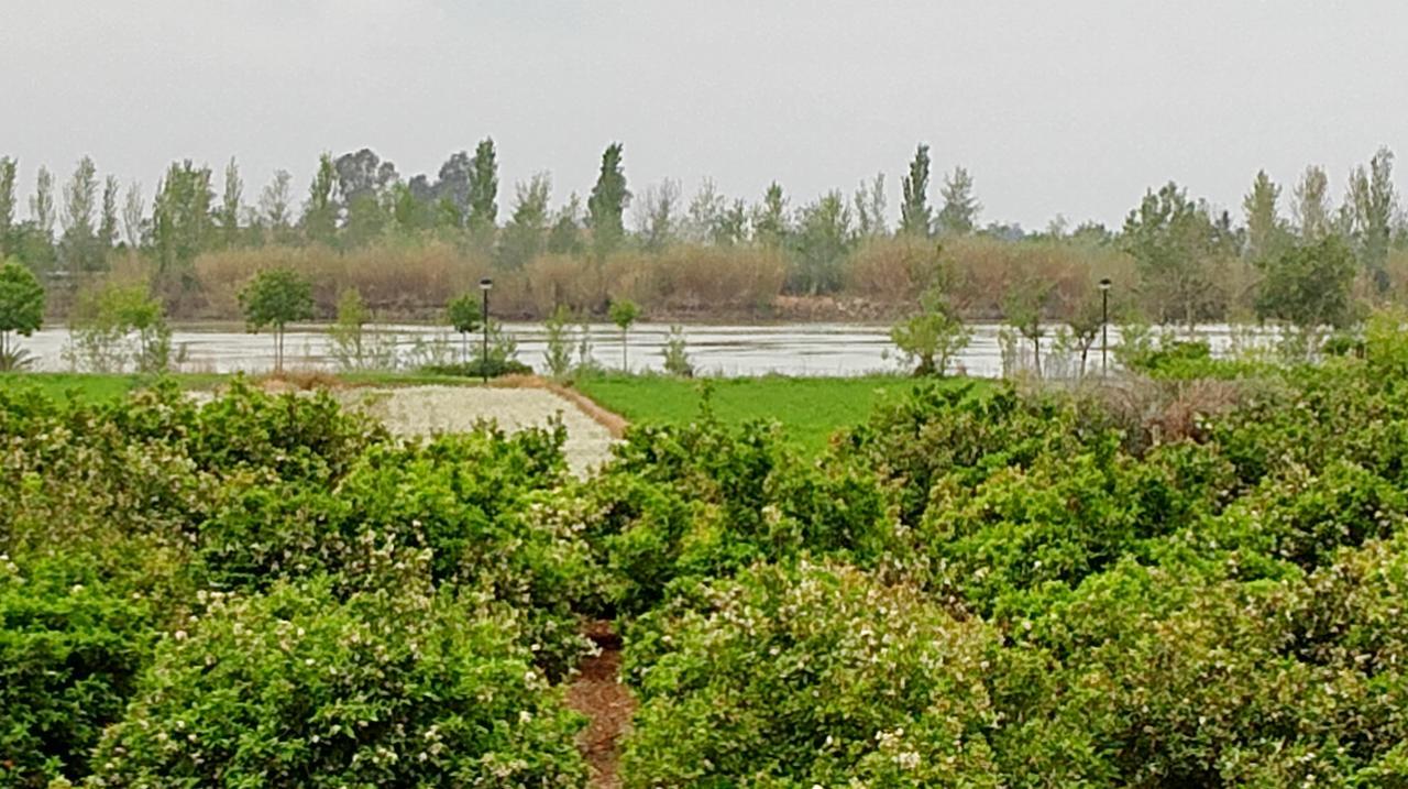 La Caseta Del Pitxo Deltebre Luaran gambar